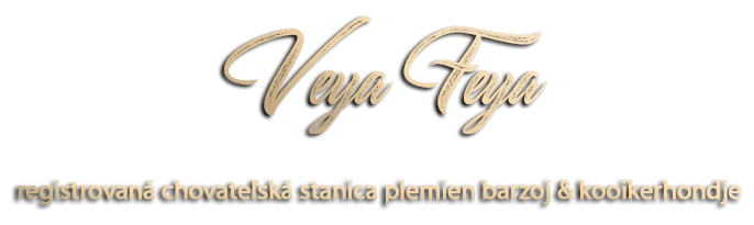 VEYA FEYA – chovateľská stanica barzojov a kooikerhondje